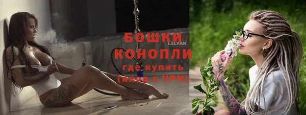 ГАЛЛЮЦИНОГЕННЫЕ ГРИБЫ Горно-Алтайск