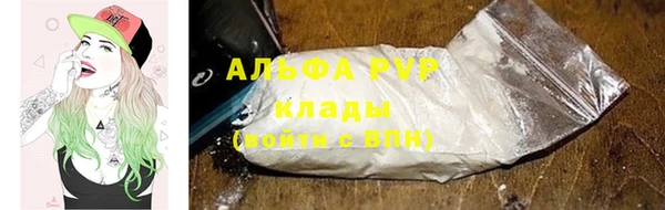 ГАЛЛЮЦИНОГЕННЫЕ ГРИБЫ Горно-Алтайск