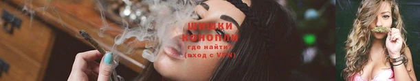 ГАЛЛЮЦИНОГЕННЫЕ ГРИБЫ Горно-Алтайск