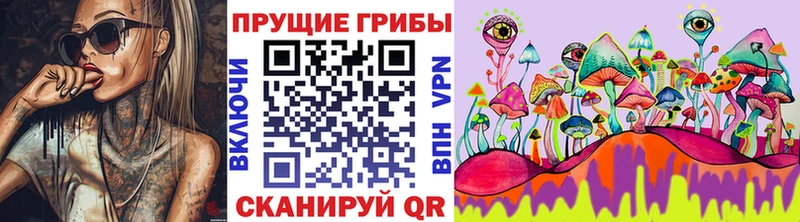 Галлюциногенные грибы Cubensis  Купить где  Советский 